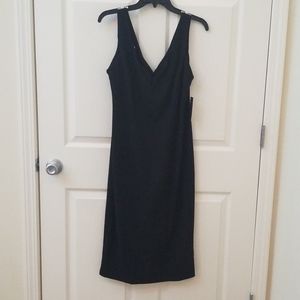 Figure Flattering Dress